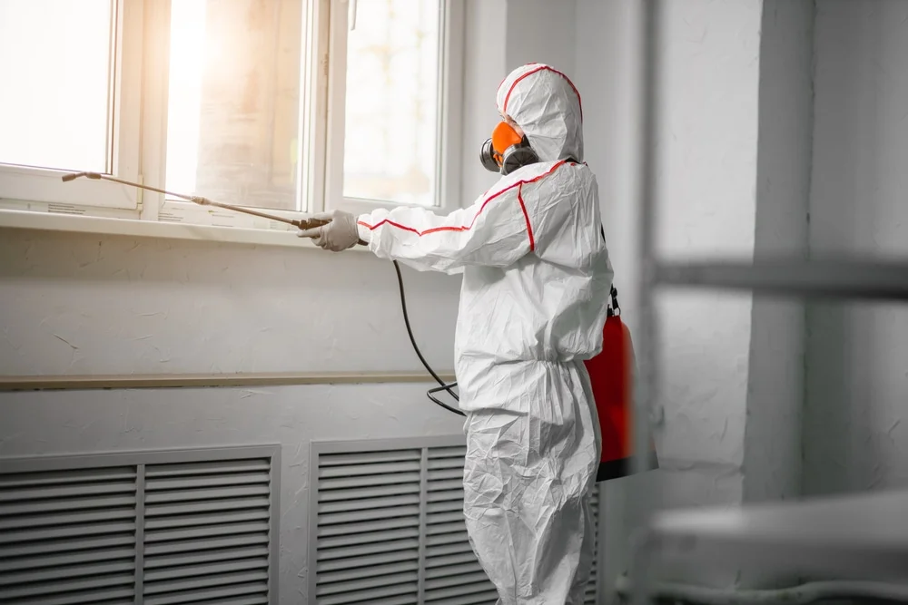 Professional mold remediation services in Cypress, TX